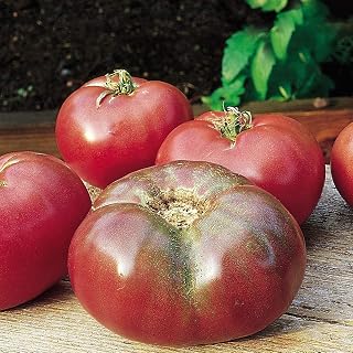Business sasha Each Pack 25+ Seeds Garden Heirloom Vegetable Cherokee Purple Blue Tomato Seeds (3)