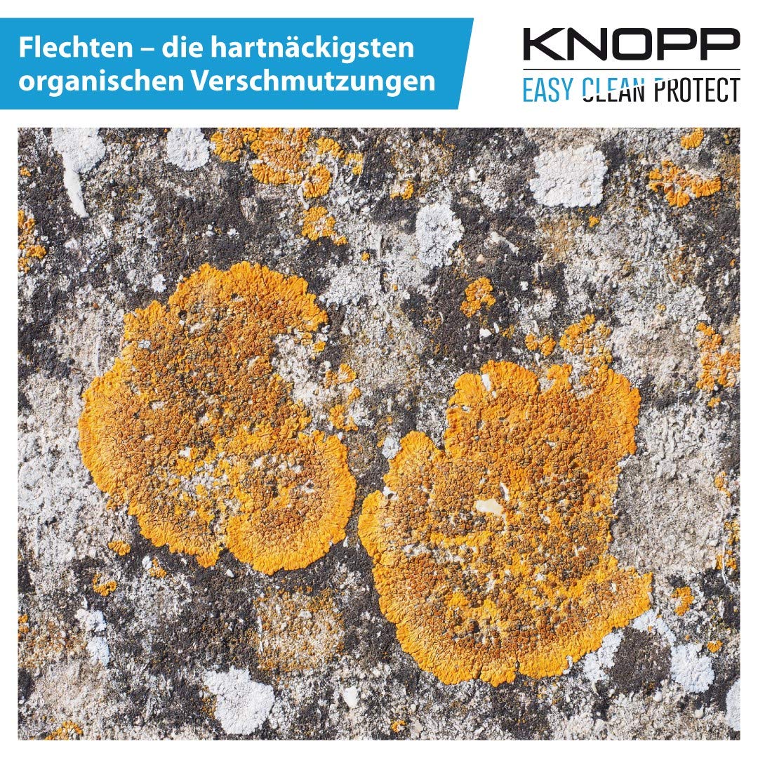 KNOPP Flechtenentferner, Flechtenex, Terrassenreiniger, Pflastersteinreiniger, Waschbetonplattenreiniger, Grünbelagentferner, Algenentferner, Algenvernichter, Steinreiniger; gebrauchsfertig, 1l