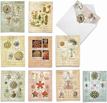 Best Card Co 10 Mini Blank Assorted Notecards Vintage Nature M2353OCB