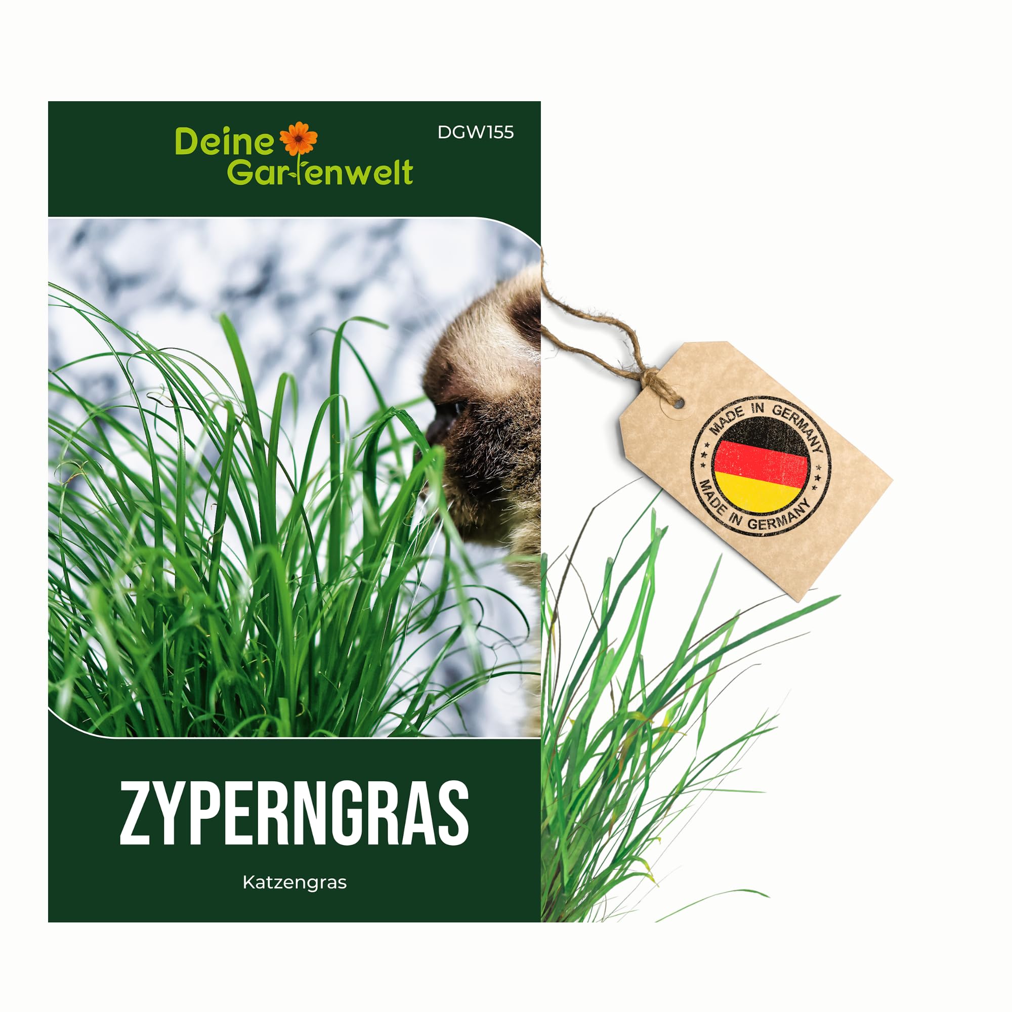 Zyperngras Samen