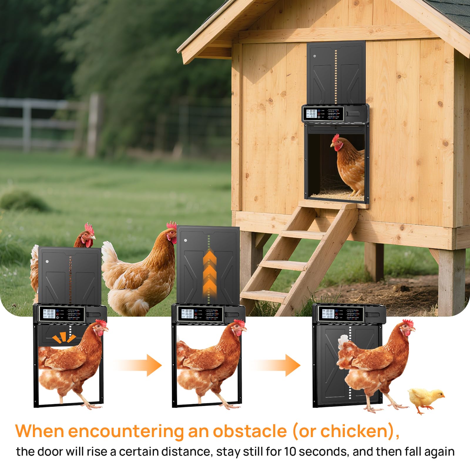 Porte automatique de poulet Coop avec minuteur LCD - Auto alimenté par batterie, porte de maison de poulet en aluminium à l'épreuve des prédateurs, résistante aux intempéries, facile à installer