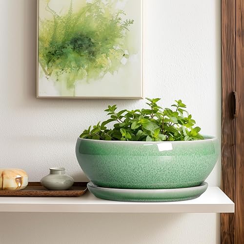 Miniatura 5 de SQOWL Maceta suculenta de 12 pulgadas, macetas de cerámica para bonsái con orificio de drenaje y platillo, maceta grande poco profunda, maceta