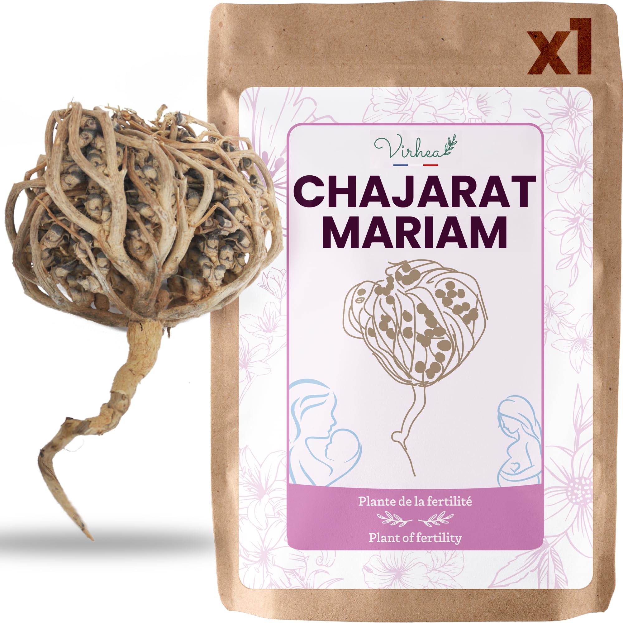 Rose von Jericho Chajarat Mariam x1 - Echte Maryam Pflanze - Wunderschöne Kaf Pflanze für Dekoration - Ideal für Ihre Wohnung oder als Geschenk