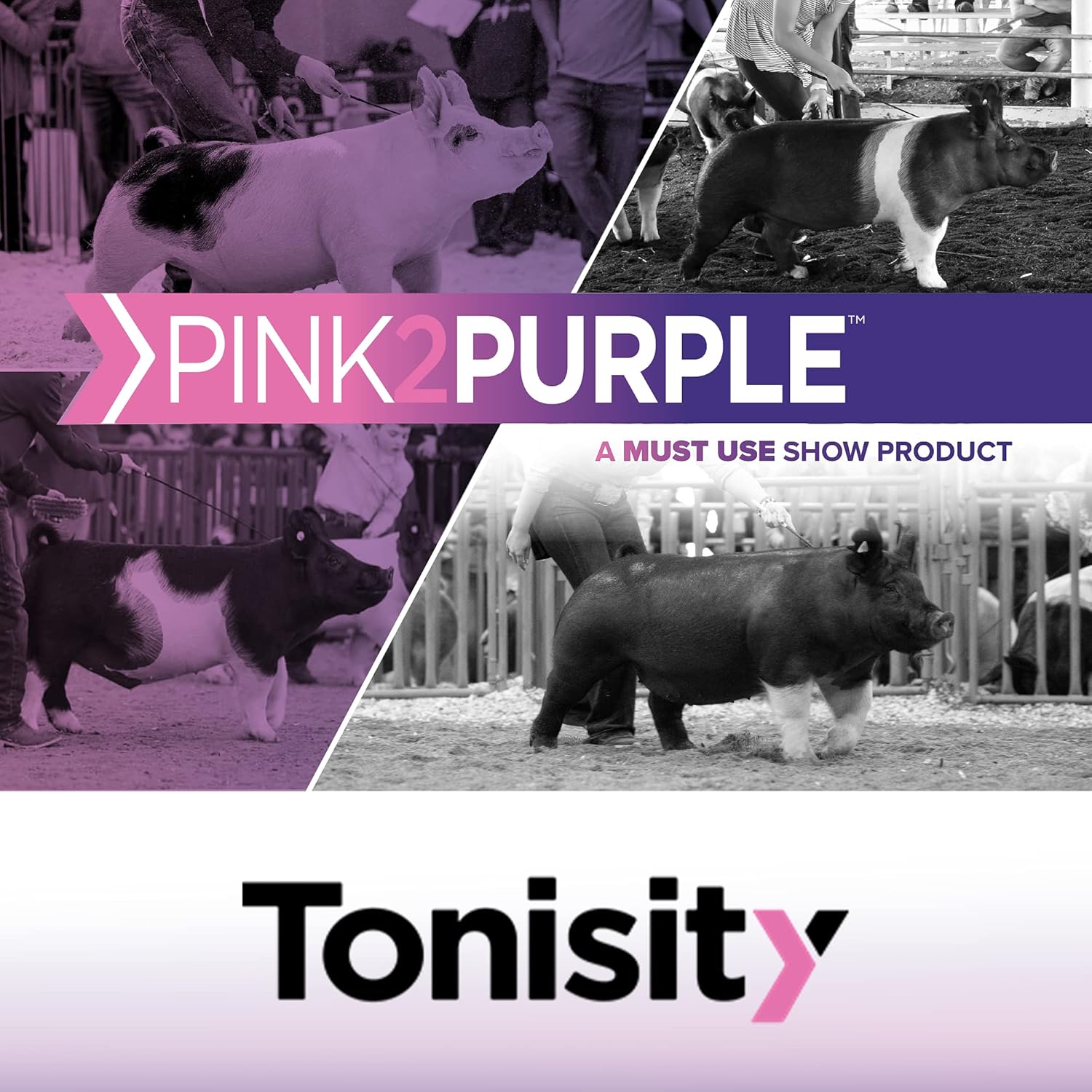 Isotonic Protein & Electrolytes Solution for Pigs (2.2 lb. Pouch)