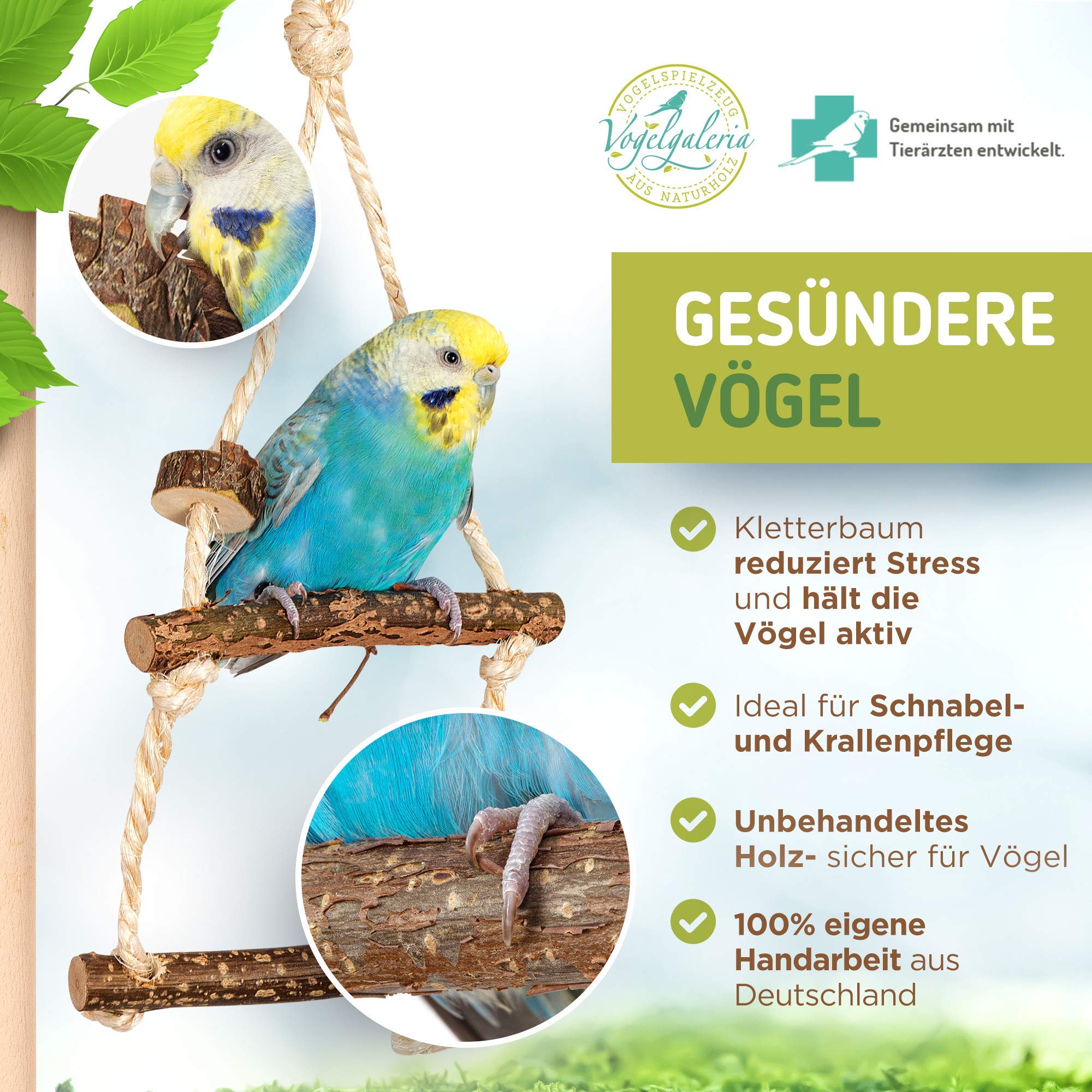 Vogelgaleria® Zimmerhoher Vogel-Kletterbaum 250-252 cm HiFly Medio mit Naturholz-Sitzstangen, Vogelspielzeug Vogelschaukel Vogelspielplatz Freisitz Freiflug Landeplatz für Wellensittich Nymphensittich