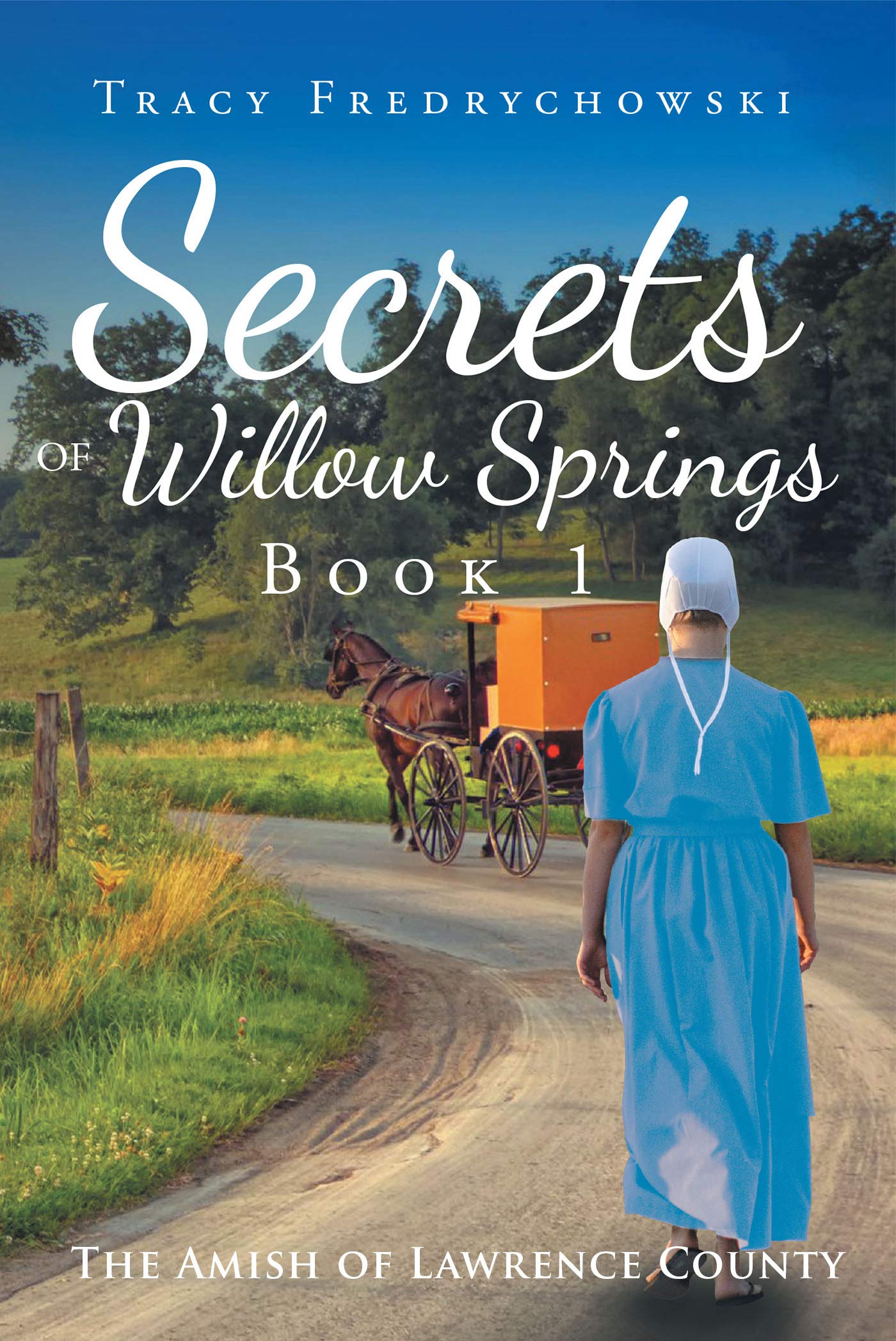 Secrets of Willow Springs: Book 1: An Amish Christian Book (The Amish of Lawrence County)