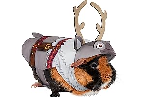 Rubie's Disney Frozen Sven Small Pet Costume, As Shown, Extra-Small