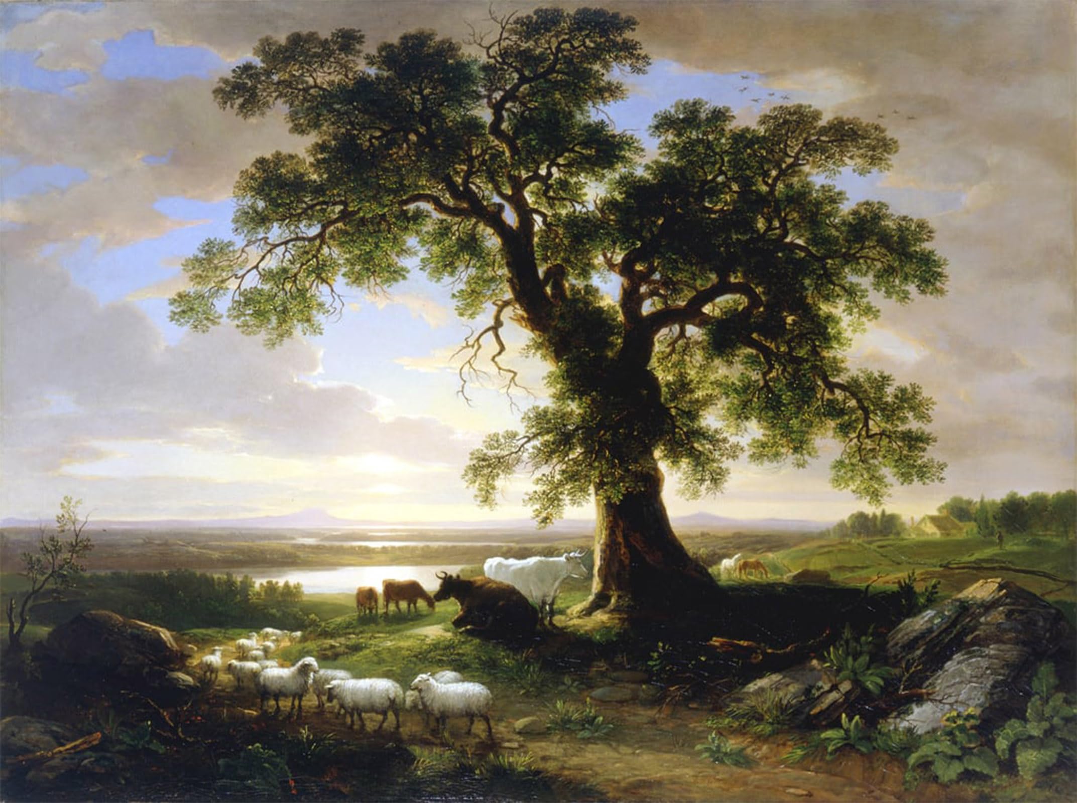 RZHRHJES Vintage Picture Wall Picture Painting Print Poster the Solitary Oak the Old Oak by Asher Brown Durand Abstract Wall Art Painting for Office Decor 60x90cm