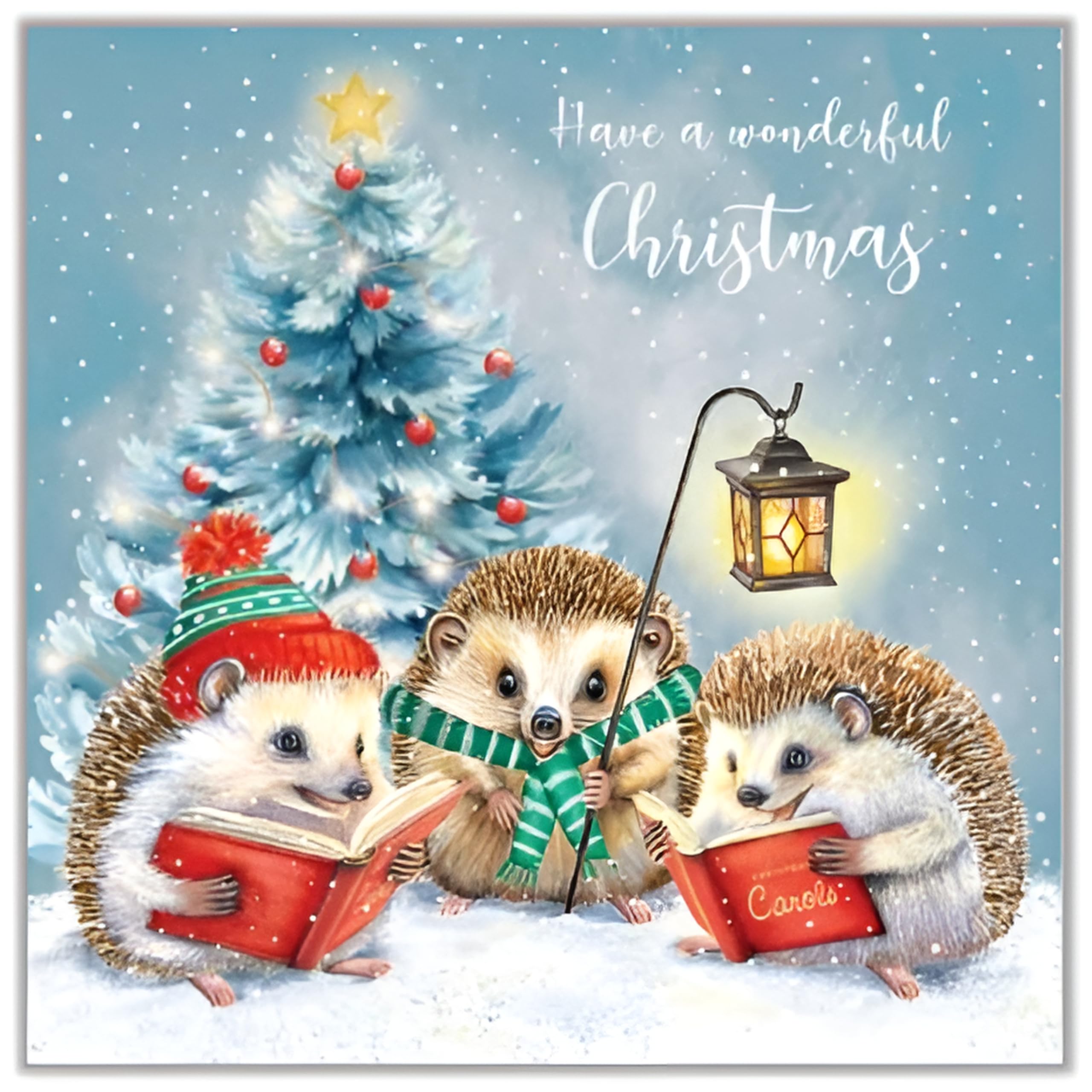 Noel Tatt Charity Christmas Cards Pack of 10, Cute Hedegehogs Carol Singing, Festive Christmas Cards Multipack