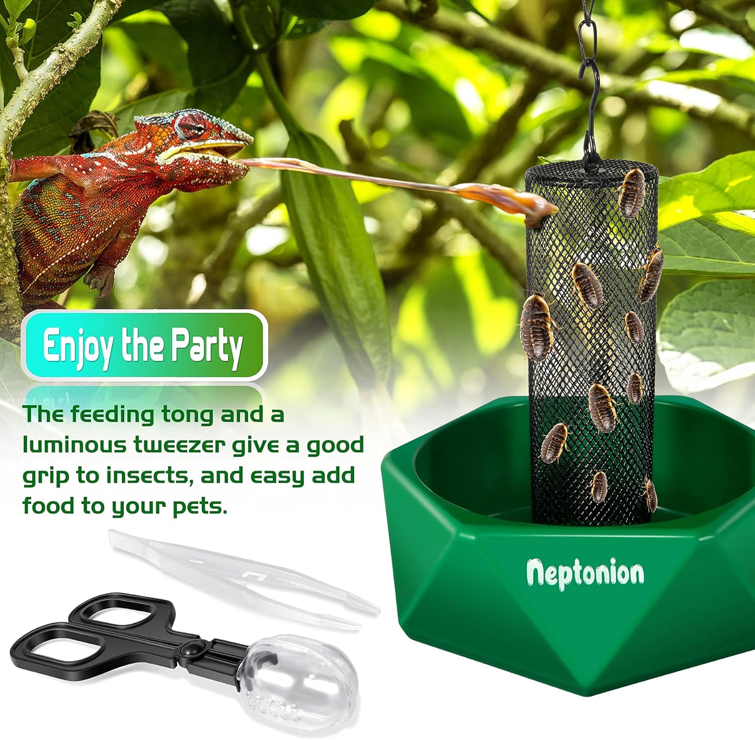 Chameleon Feeding Kit, Come with a Hookable Feeding Bowl and a Reptile Water Feeder, Perfect for Leaving Your pet Whilst on Vacation