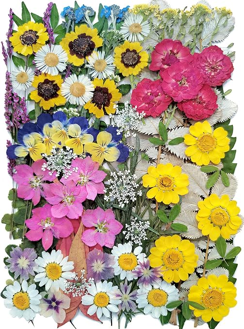 100 PCS Real Dried Pressed Flowers Leaves Natural Plant Herbarium for DIY Resin Mold Jewelry Making Craft(Colorful)