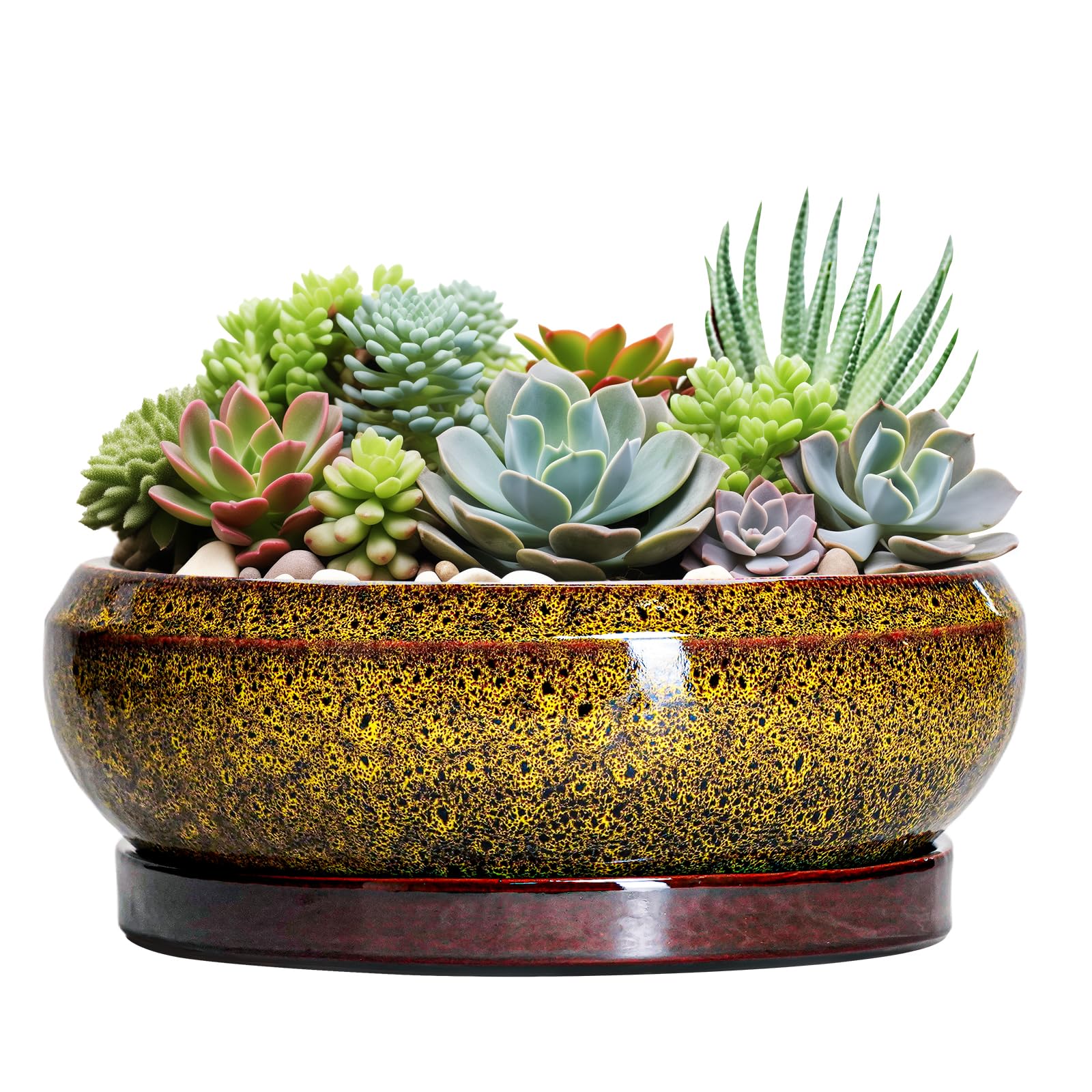 EPFamily Ceramic Bonsai Pot