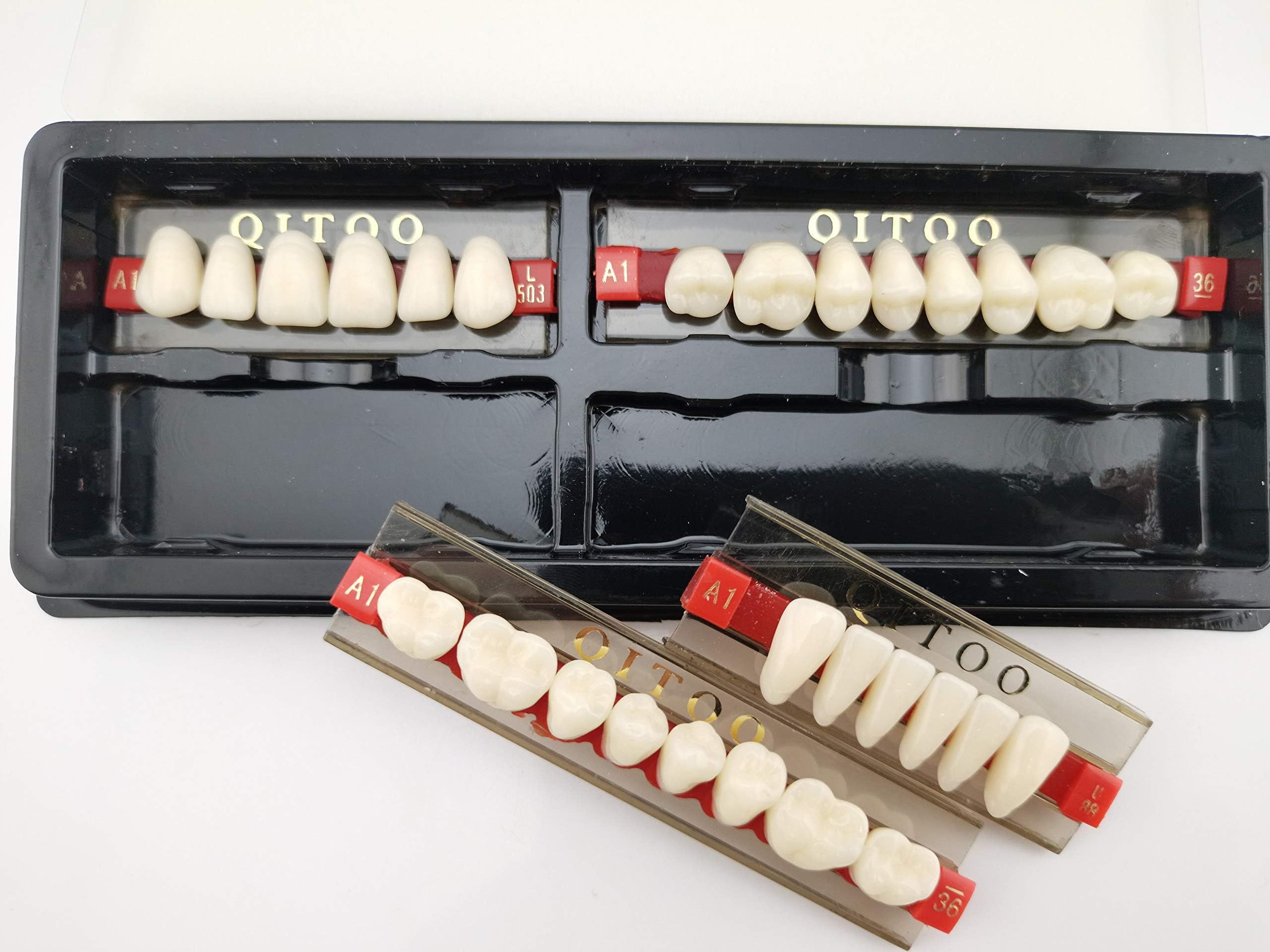 Denture Teeth Dental Acrylic Resin Tooth Full Set for Halloween Horror Prop