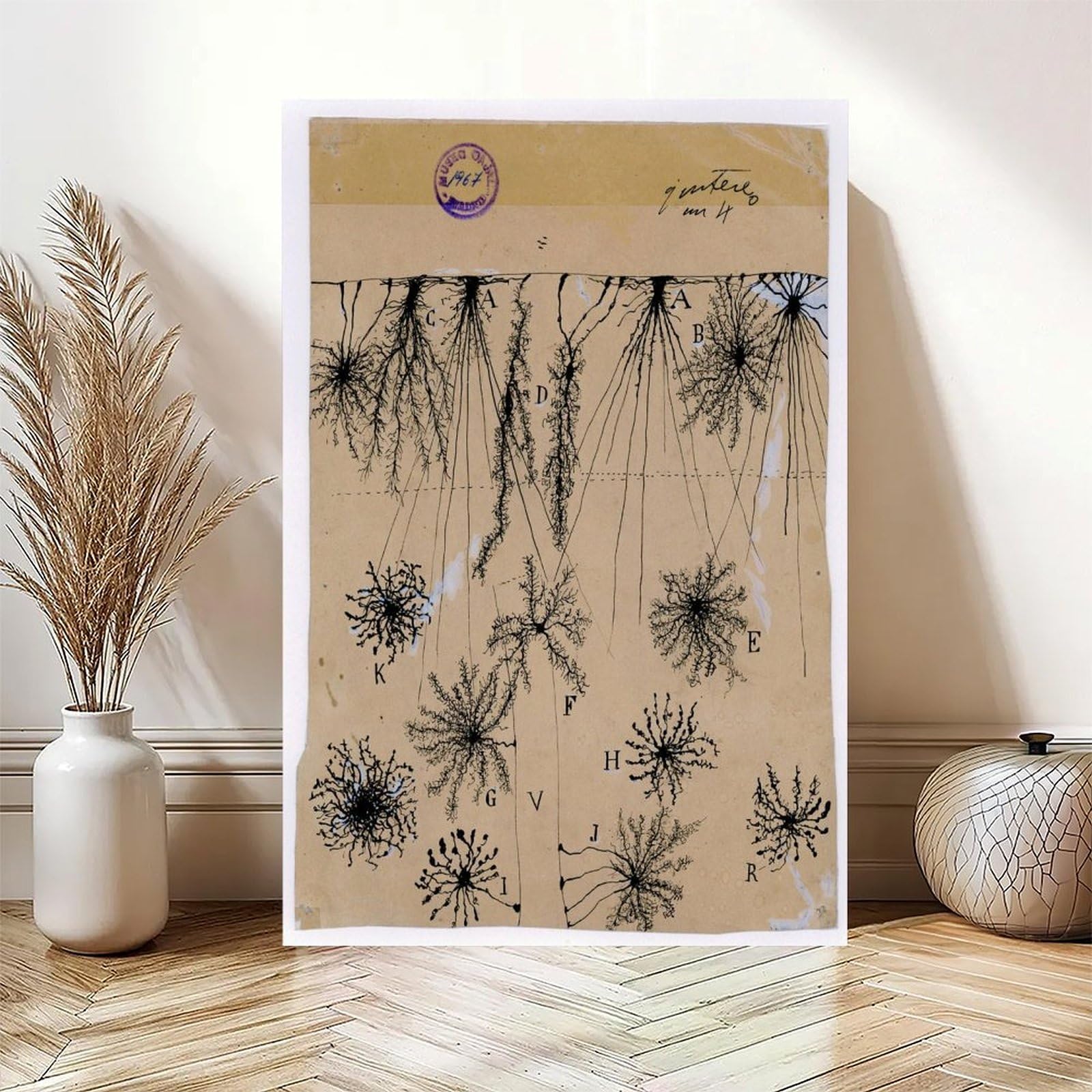Cuadro de neuronas Cajal – Póster de anatomía cerebral antigua de células gliales para dormitorio, lienzo para decoración de pared, oficina, habitación, decoración estética, marco de regalo, 12 x 18