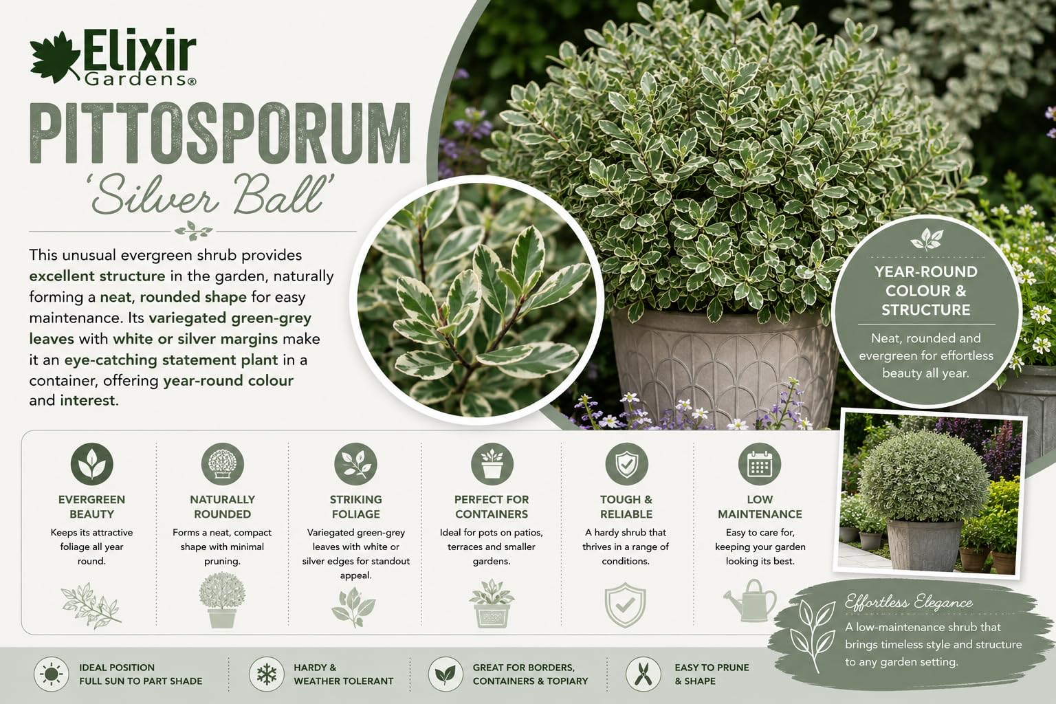 View 3