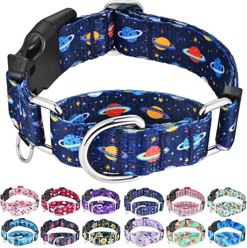 Coleira Martingale para Cães com Fivela em Nylon Blue Space Fidohug — Tamanho Médio