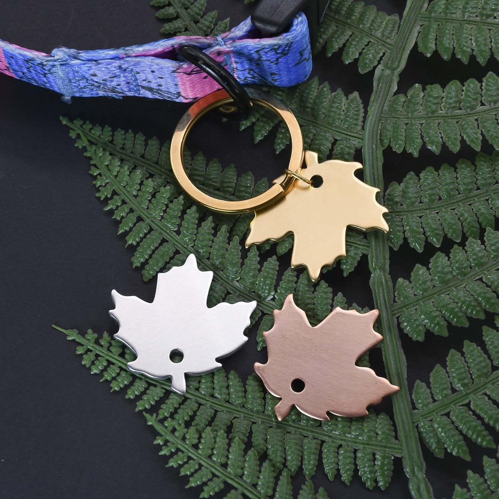 ABBECIAO 20 Qty 1 1/4