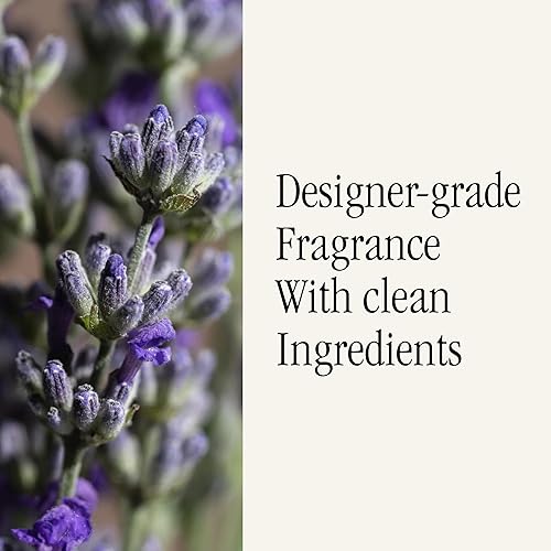 Miniatura 4 de Pura Recambio de aroma para el hogar, difusor de aire inteligente para el hogar, hasta 120 horas de fragancia de lujo por recarga, esencial para el