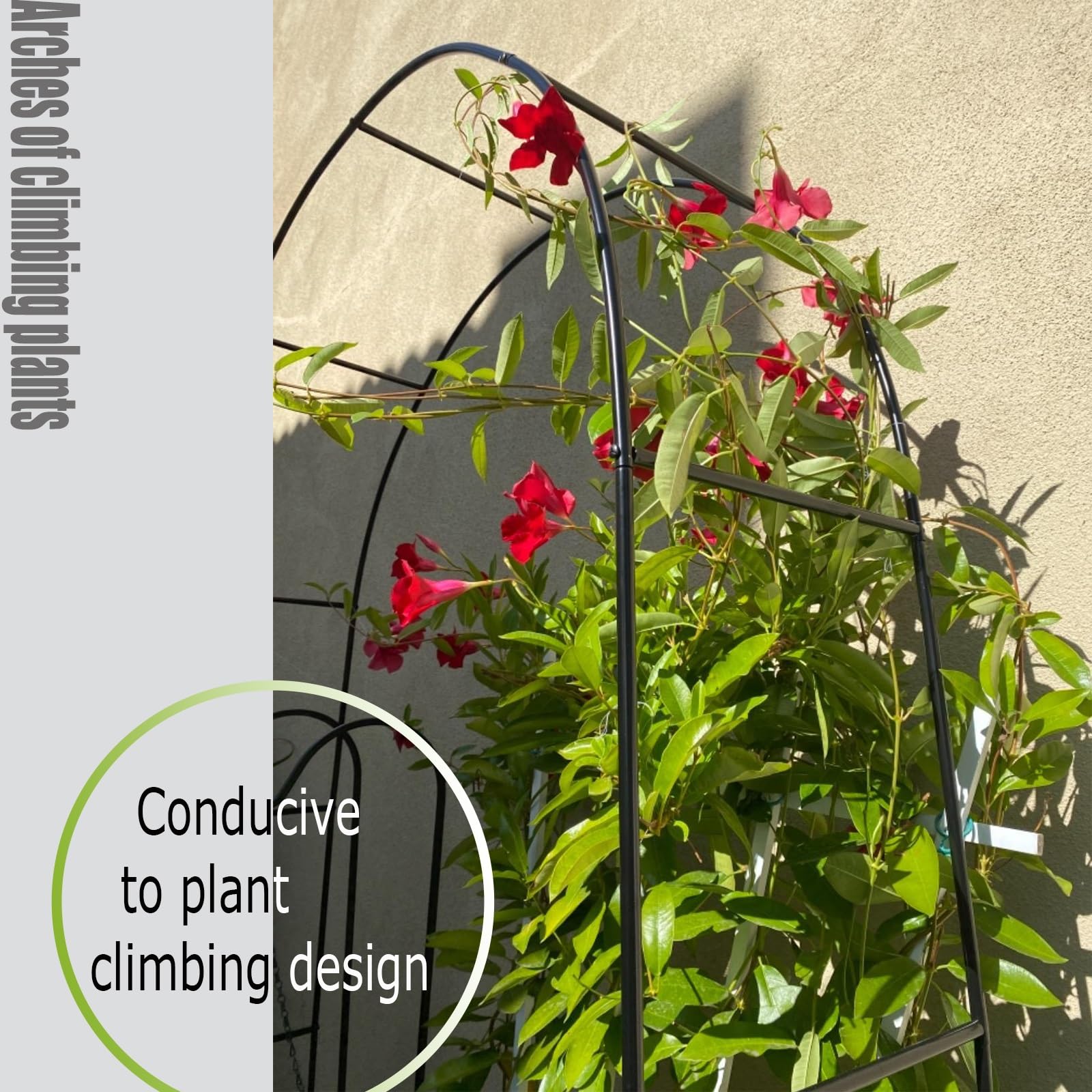 Arco da giardino bianco con struttura in metallo, resistente alle intemperie, pergolato in acciaio, per piante rampicanti, per esterni, arco di rose e decorazione per cerimonie nuziali (W350 x H200 cm