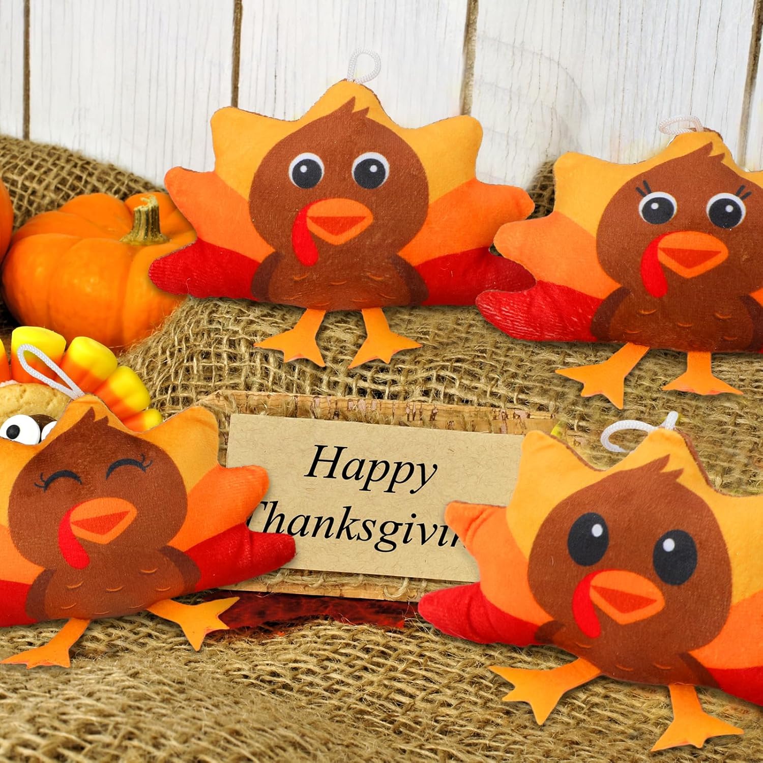 Blueweenly 16 Pcs Thanksgiving Turkey Plush Stuffed Animal Bulk 4.5 Inch Mini Plush Turkey Toy Gifts Set Small Cute Soft Stuffed Toys for Kids Adults Fall Thanksgiving Party Favors Home