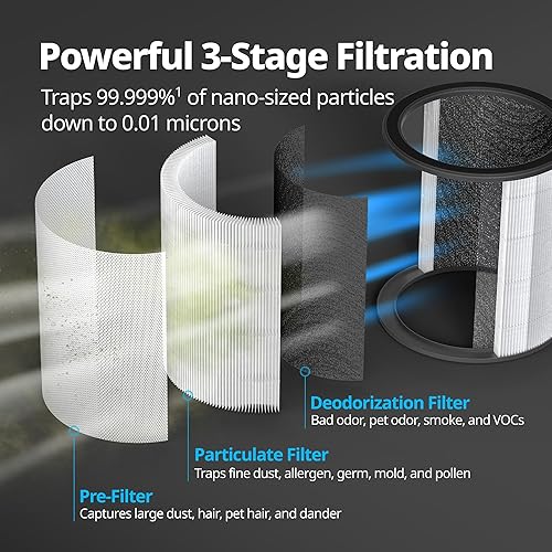 Miniatura 4 de COWAY Purificador de aire para hogar y dormitorio, 2 en 1 con ventilador, filtro HEPA verdadero para humo, alergias, caspa de mascotas, olores,