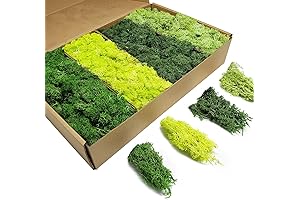TurelinnG Reindeer Moss 4 Colors (14 OZ)