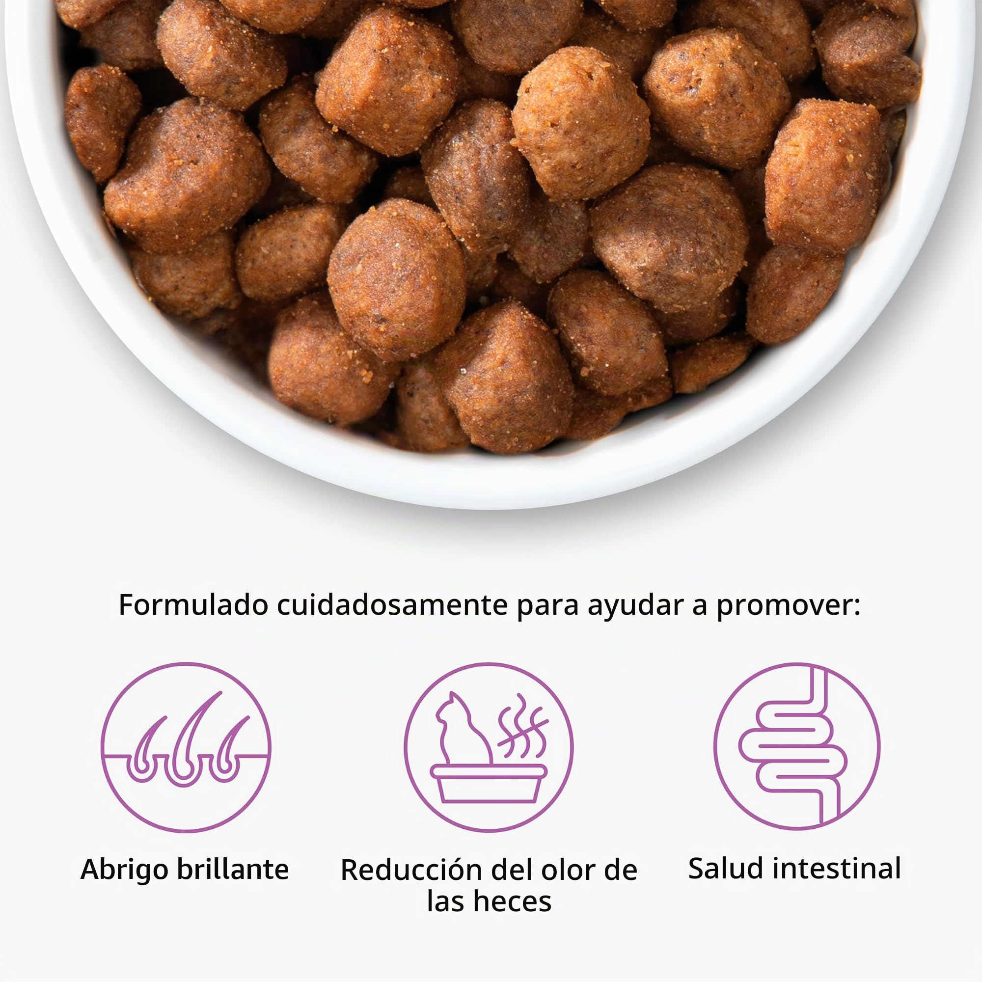 Pienso para Gatos Adulto Catit Recipes -Receta de Aves, 2 kg (Paquete de 4)