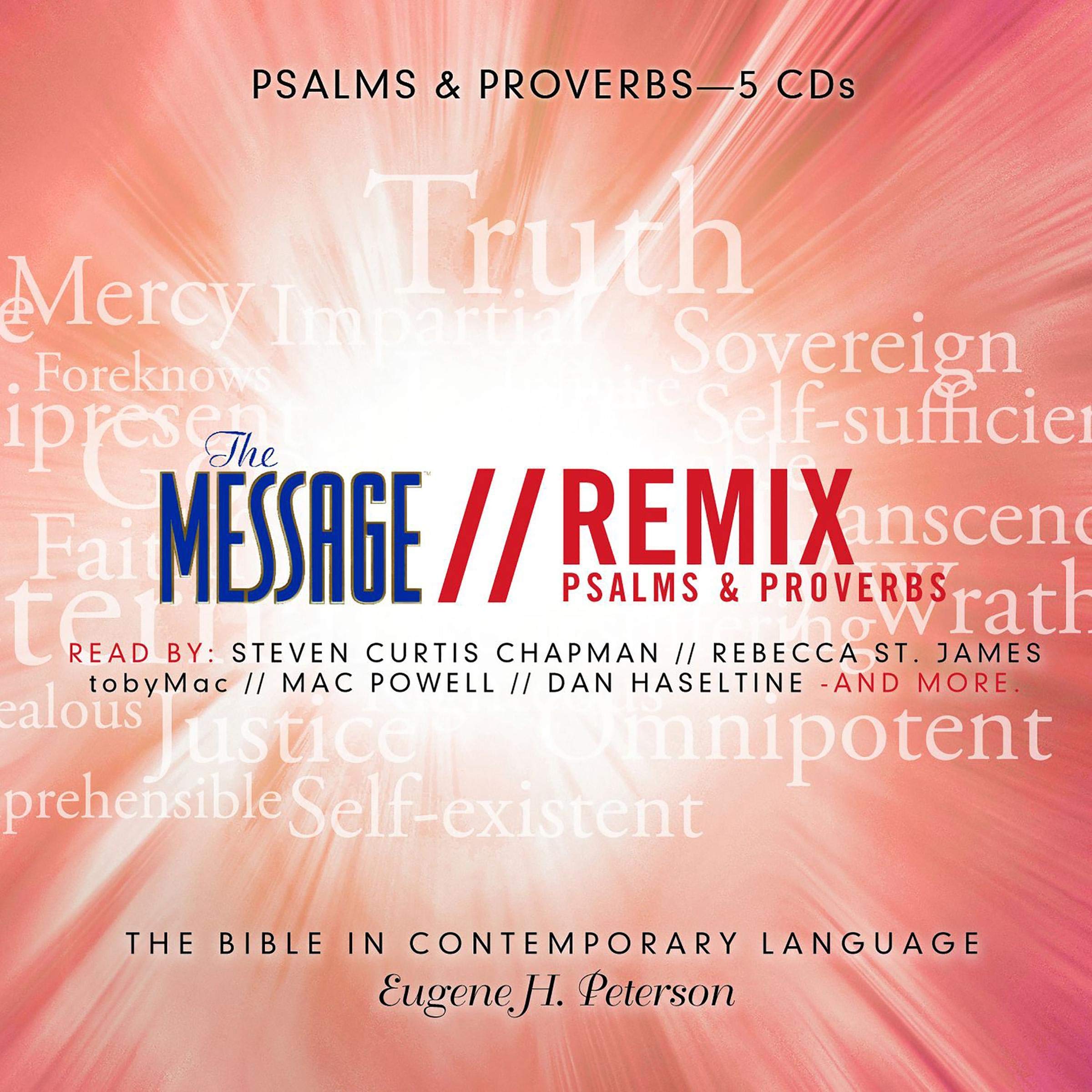 Message Remix Bible