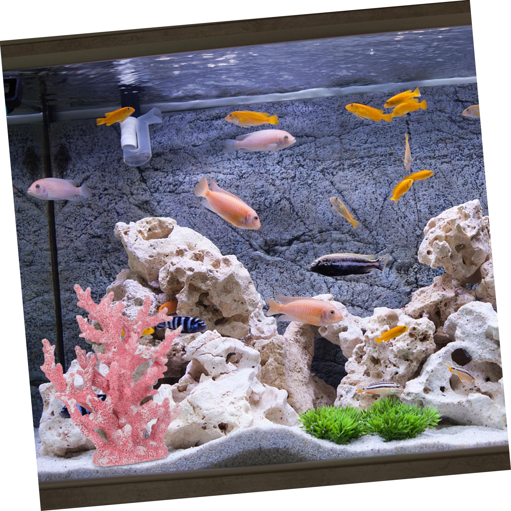 Cabilock Gioielli In Corallo Simulato Corallo Artificiale Per Acquario Decorazione Per Acquario Di Barriera Corallina Artificiale Ornamenti Per Acquario Vulcanico Decorazioni Per