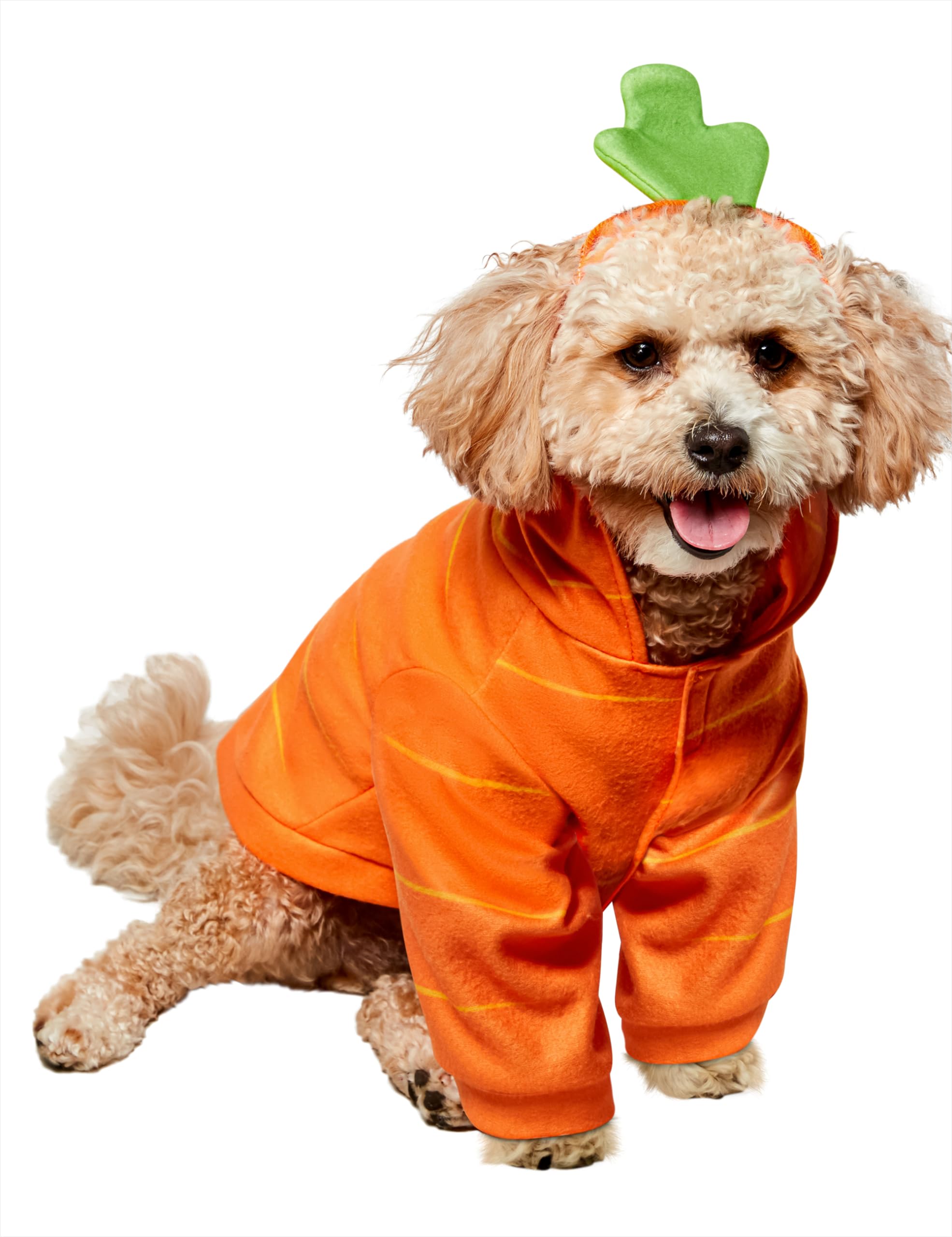 Costume de carotte pour animal Rubie's en taille M avec capuche
