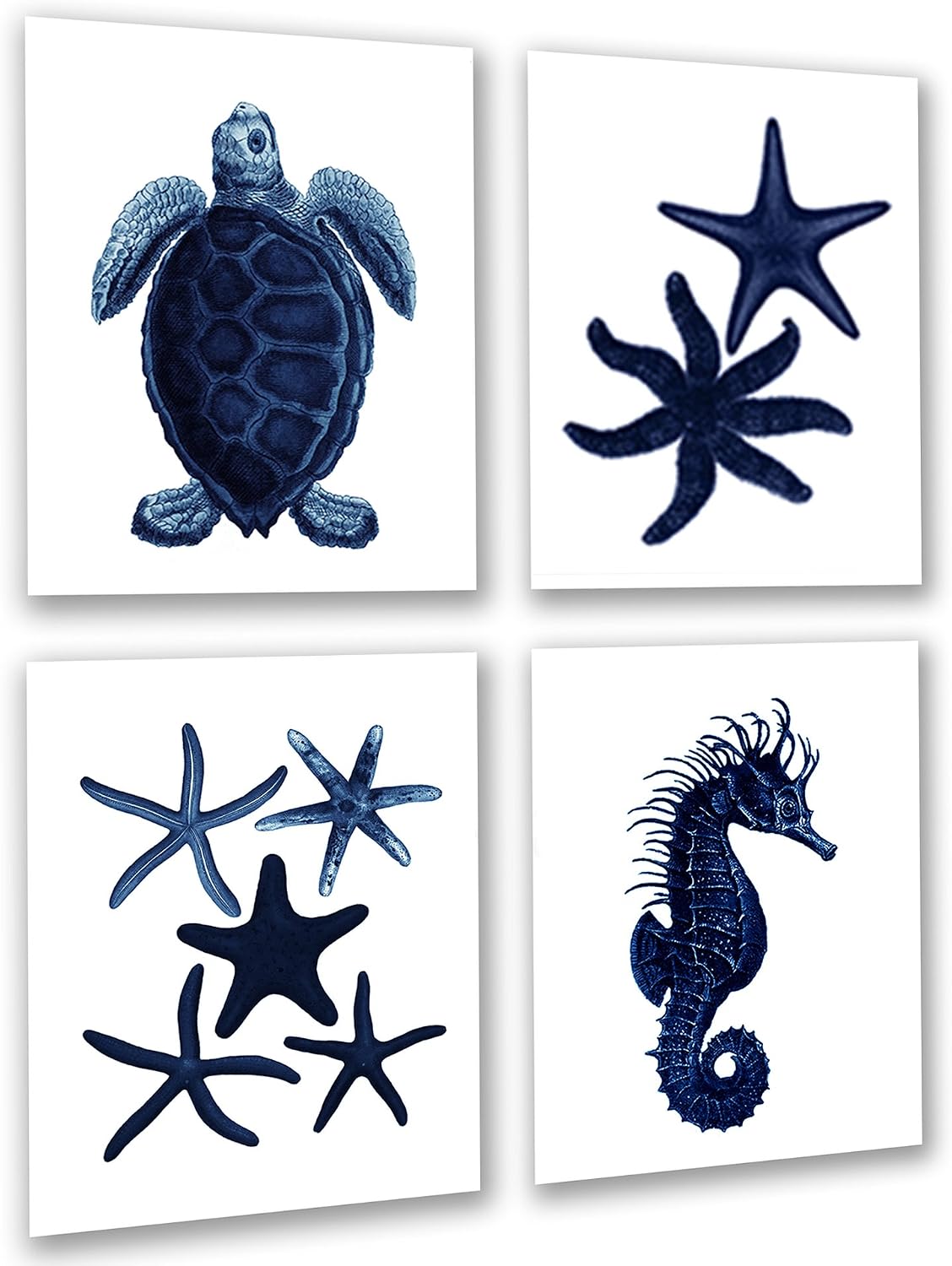 Gnosis Picture Archive Dark Navy Blue Beach Wall Decor Set of 4 Unframed Seahorse Starfish Beach Bathroom Art Prints