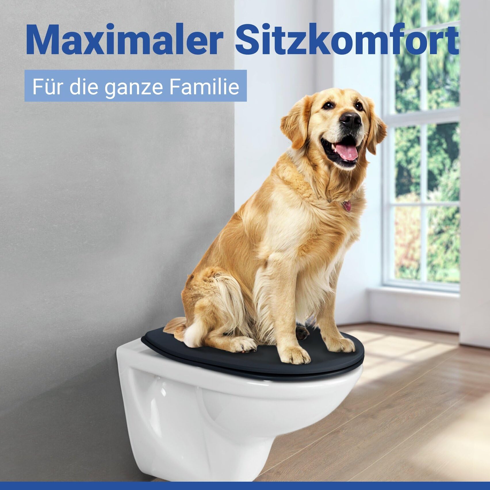 WENKO WC Sitz in D Form mit Absenkautomatik, ultraflach, hohe Belastbarkeit bis 300 kg, abnehmbarer Toilettendeckel, Klodeckel aus antibakteriellem Duroplast, einfache Montage, Mod. Sedilo, schwarz