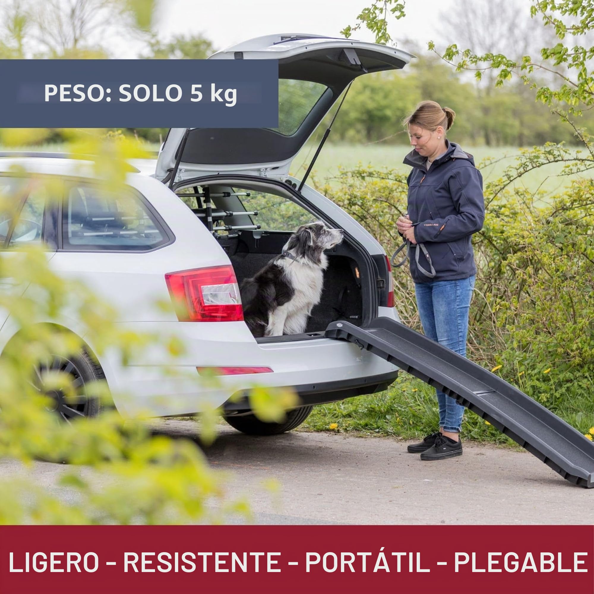 Trixie Pet 3939 - Rampa Plástico Petwalk, Negro, 155 x 38 x 8 cm | Rampa plegable para perros con superficie de alta tracción, ideal para coches y SUV, plegable, fácil de almacenar y limpiar