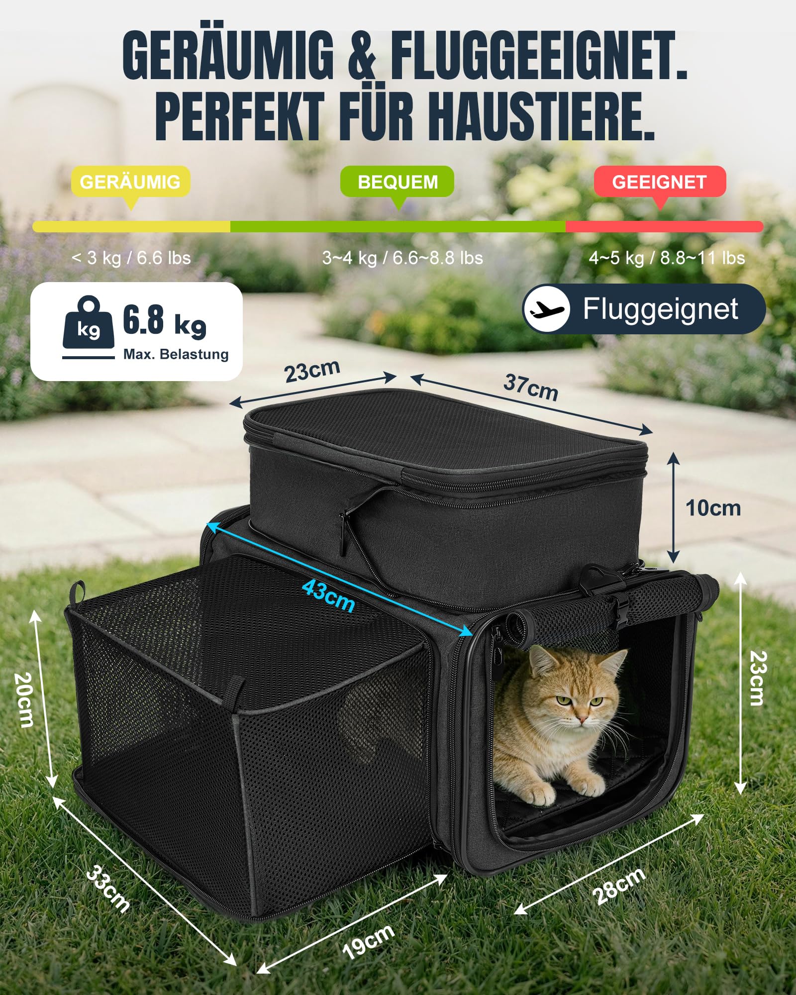 apollo walker Katzentasche Flugzeug, Faltbare Haustier Transporttasche mit Stabilem Halt, Leichte & Atmungsaktive Transportbox für Katzen und kleine Hunde, ideal für Reisen