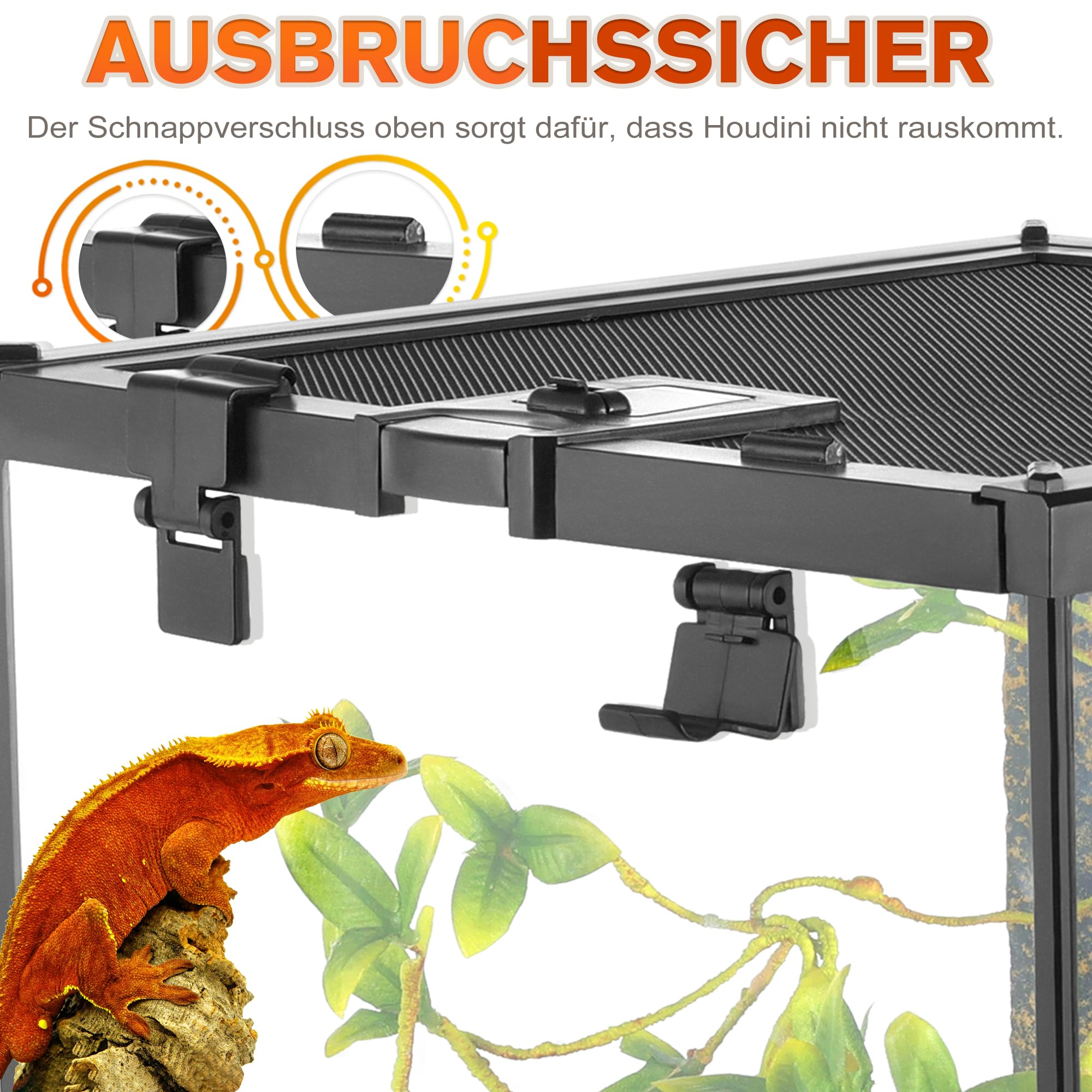 Mini-Reptilien-Glas-Terrarium, 30 x 20 x 14.5 cm, Vollsicht-Tank, kleine Amphibien, Glas-Lebensraum, Käfig mit Futterschlitz und Kastenschloss