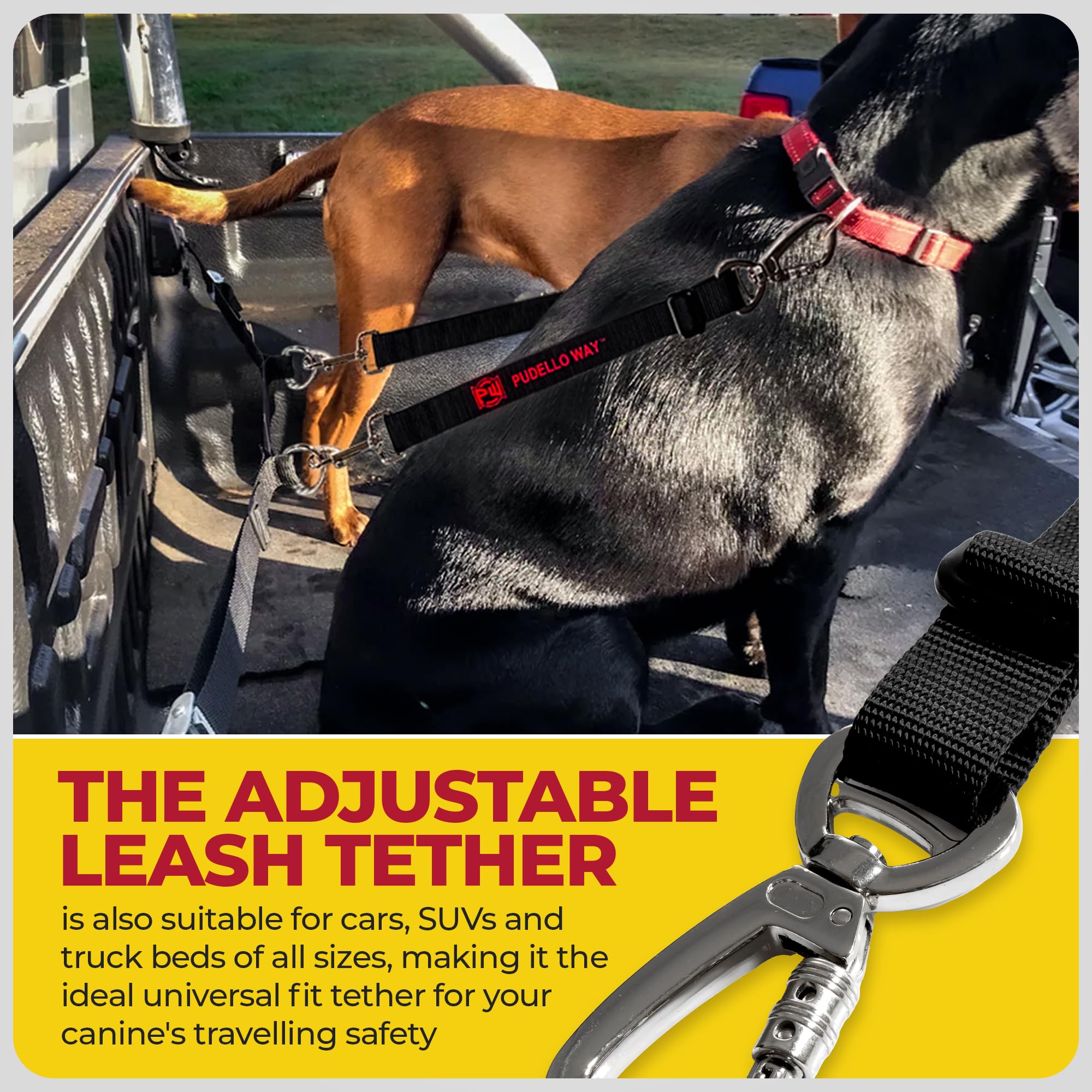 Pudello Way Truck Bed Dogs Tether for One Dog - Canine Tie Down System -  Adjustable Safety Leash