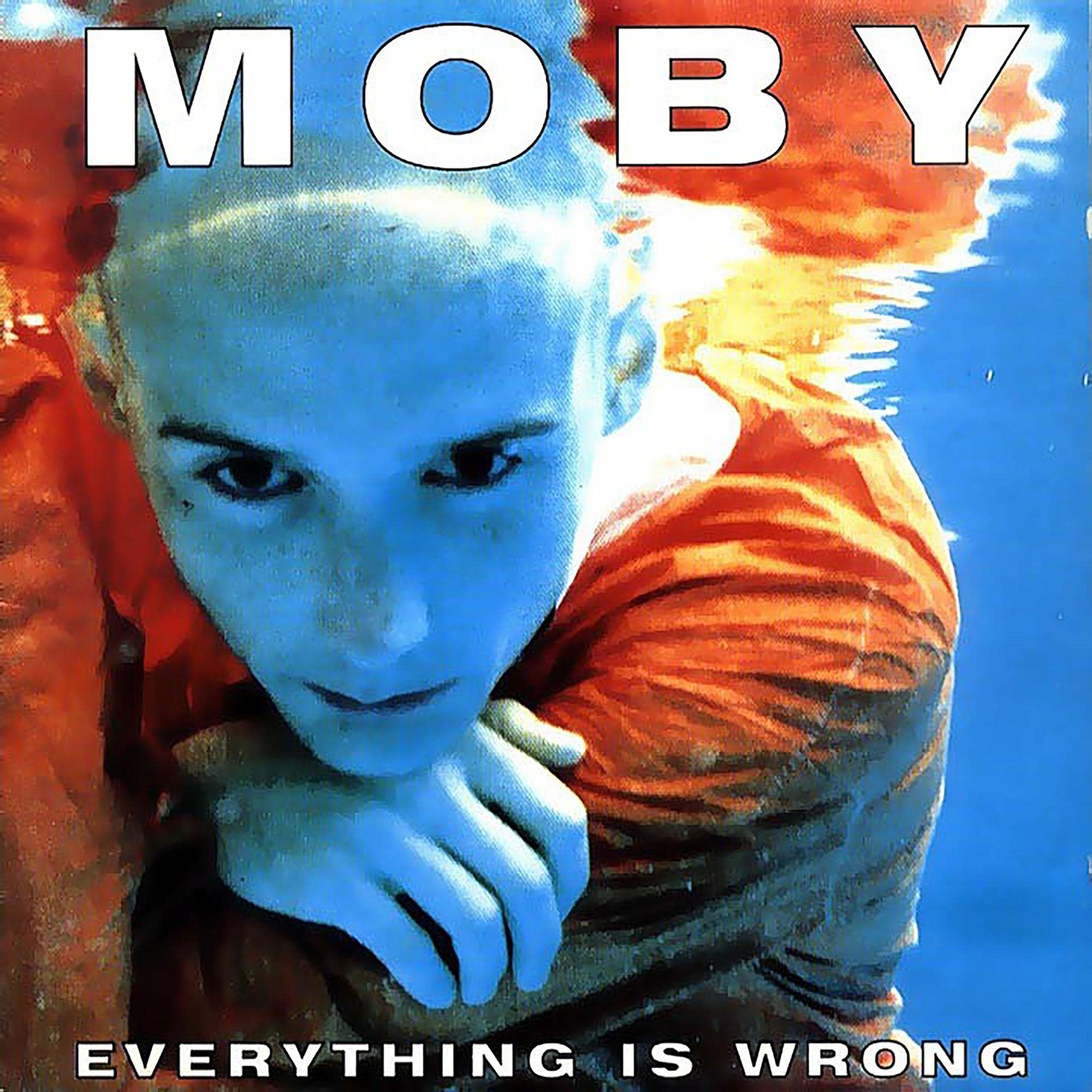 Everything Is Wrong [VINYL]
