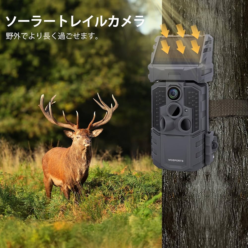 Wosports 2025最新型 4K トレイルカメラ ソーラー WIFI対応 Amazon.co.jp: Wosports 2025最新型 4K トレイルカメラ ソーラー
