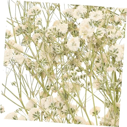 Miniatura 6 de Amosfun 5pcs 1 Baby's Breath Embossed Vase for Flowers Dried Flowers Nail Art Arreglos Florales Naturales Nordic Decor Preserved Flower Decor Plant