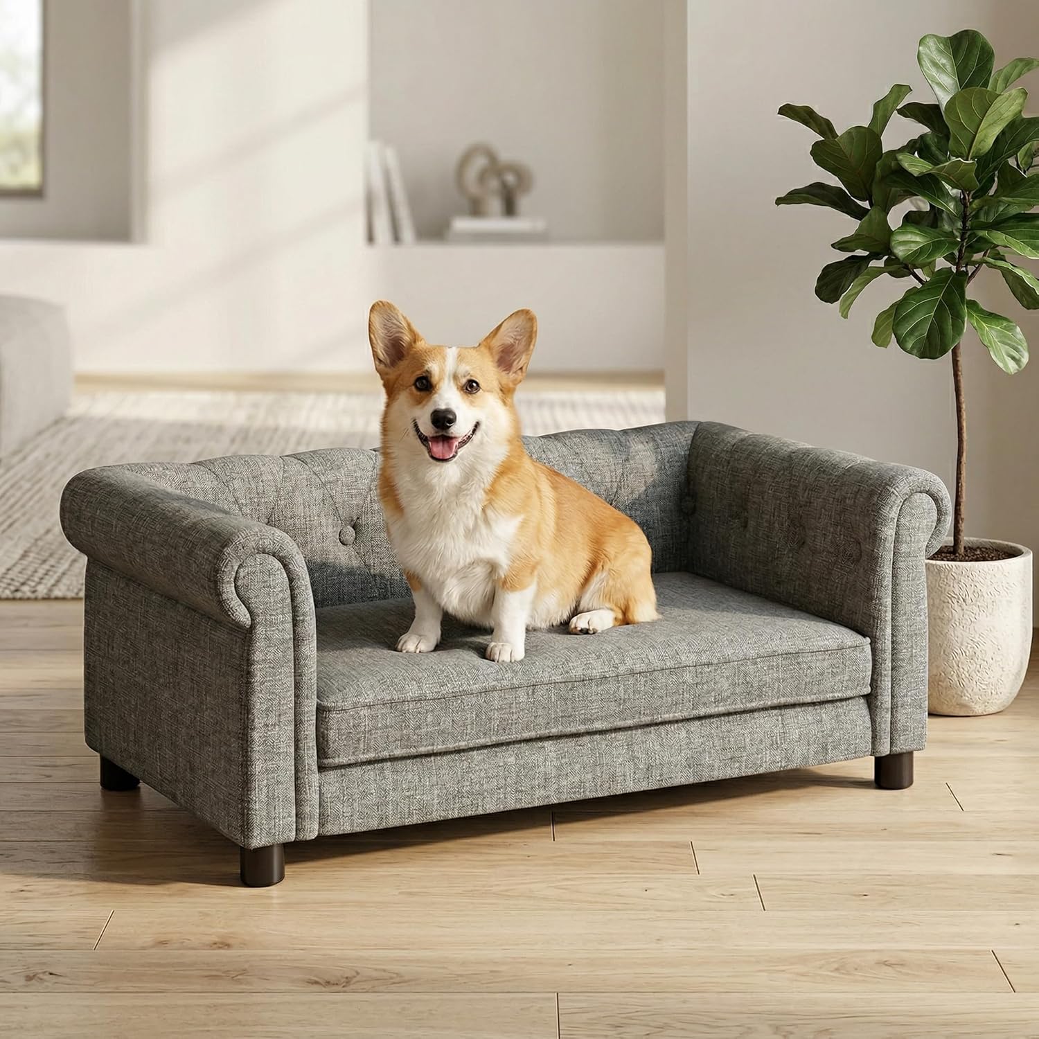 39" Dog Couch-Rectangle Pet Sofa with Backrest & Armrests&Soft Memory Foam,Comfortable Couch for Medium & Small Dogs,Light Grey