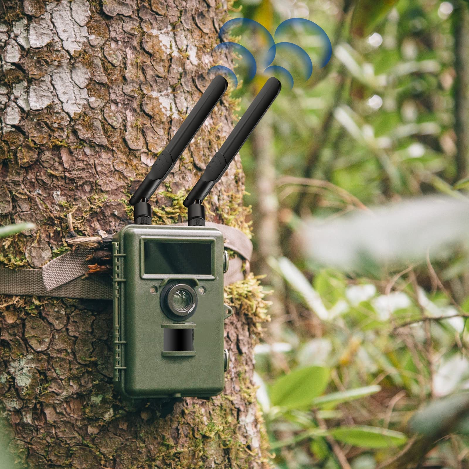 Bingfu 4G LTE Outdoor Antenna – 7dBi SMA Male, 3m Cable, Wall Mount, Compatible With Routers, Modems & Trail Cameras