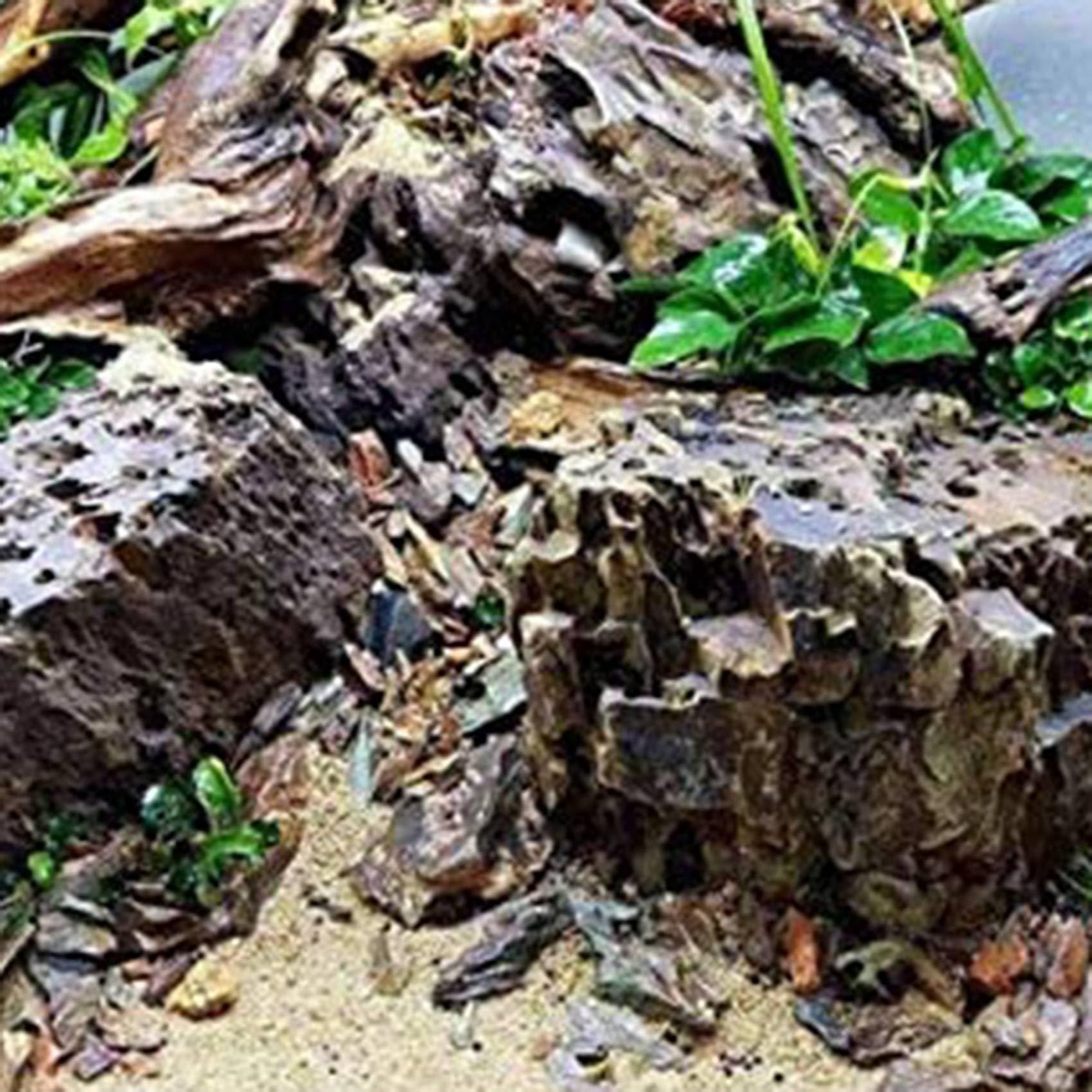 24X Grandes Ramas Naturales de Madera Flotante Reptiles Acuario Decoración del Tanque de Peces Cueva Escondite Decoración de Madera Madera de Deriva