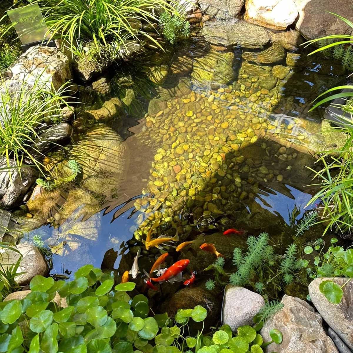 Rivestimento nero resistente ai raggi UV, spessore 0,12 mm, disponibile in 3 x 5 m, 4 x 5 m, 4,5 x 7 m, 7 x 7 m, perfetto per laghetti da giardino, acquacoltura, cascate e laghi artificiali.