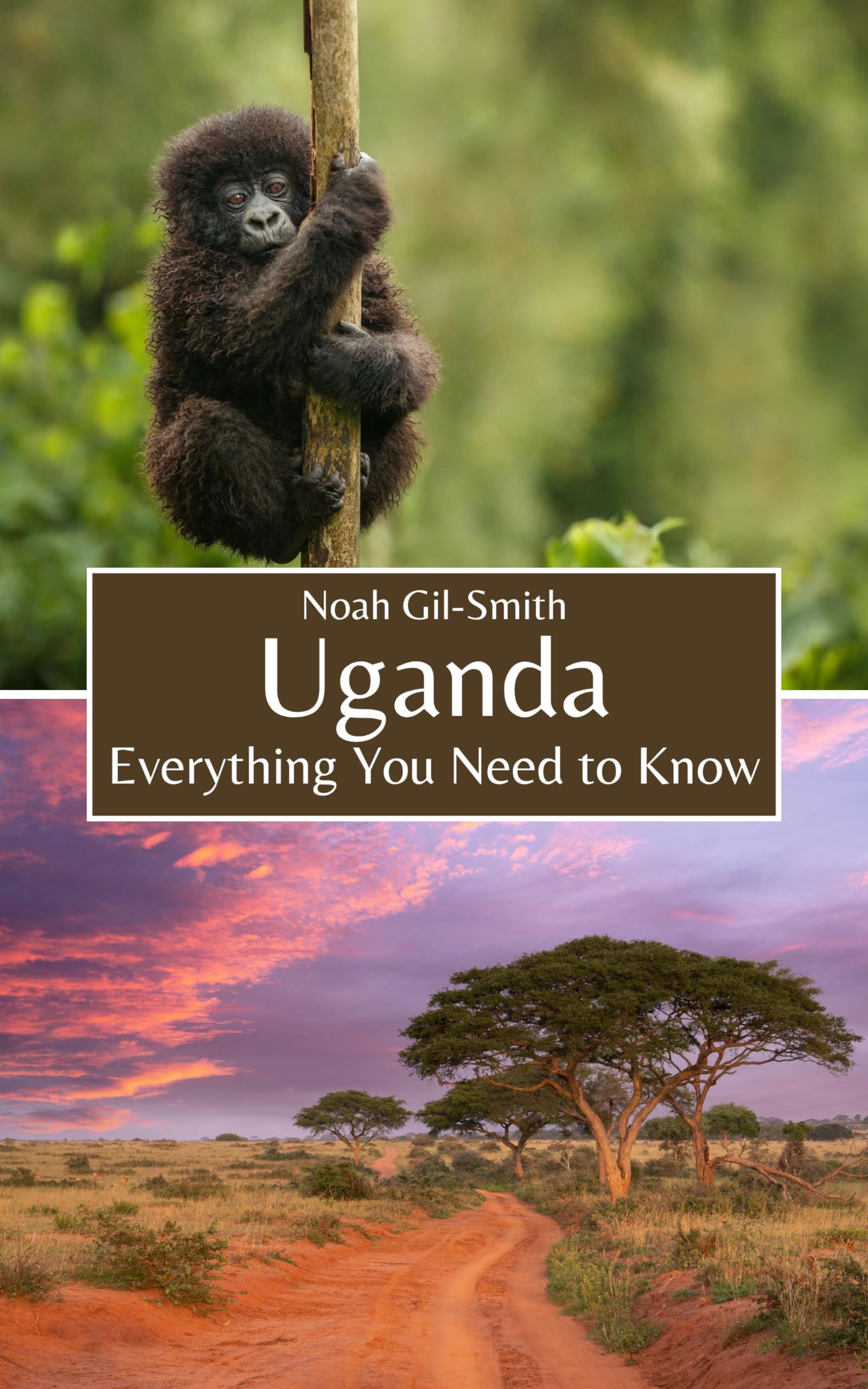 Uganda: Everything You Need to Know