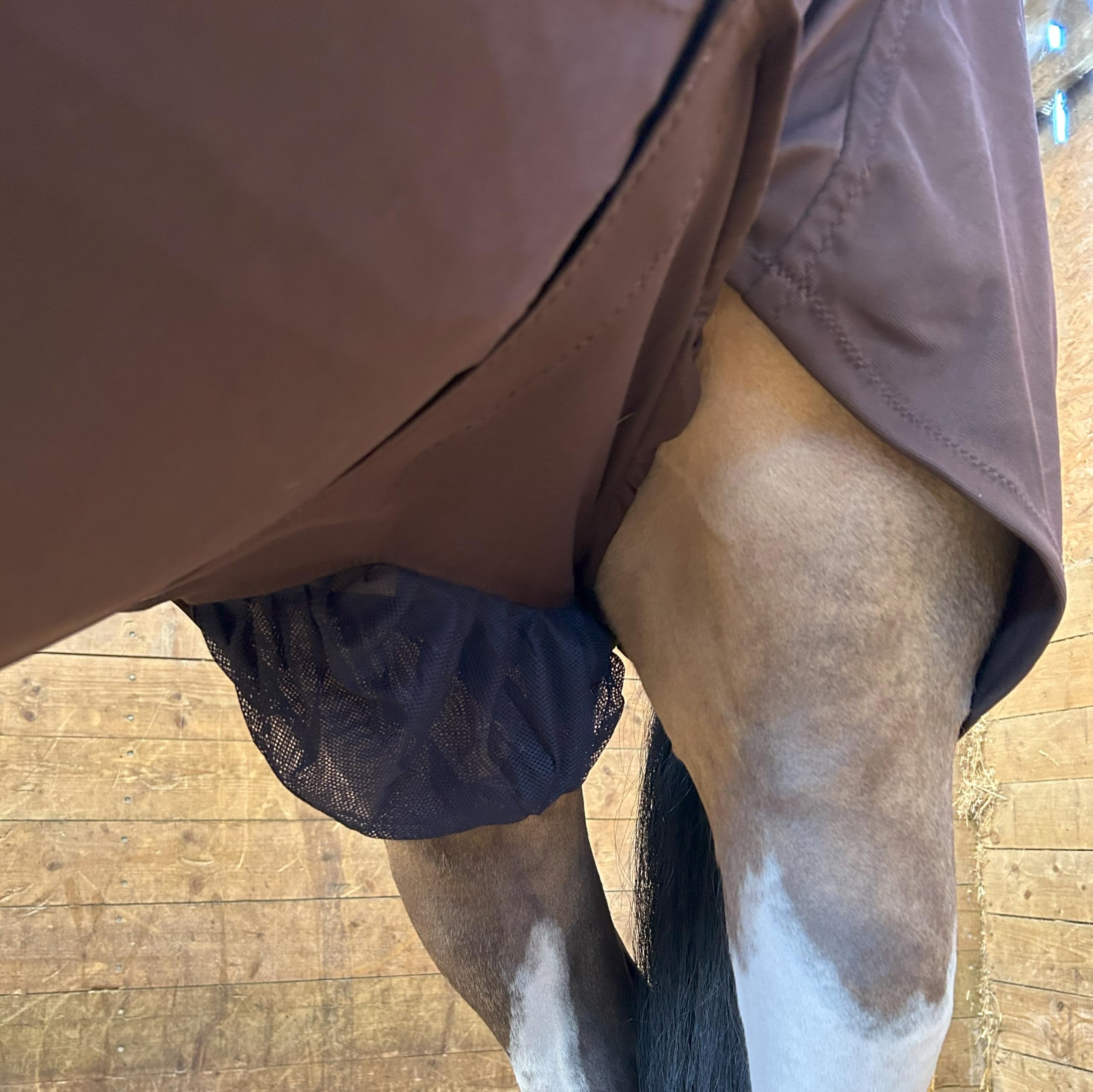 Snuggy Hoods Sheath Cover for Horses | Reliable Protection from Sweet Itch, Insects and UV Rays | Premium Quality | 3 Colours, 5 Sizes