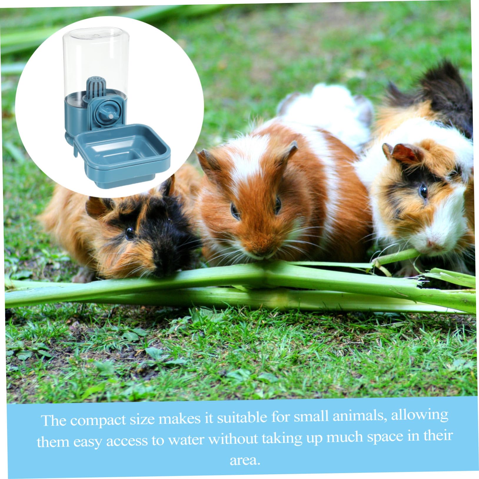 Dispenser per Animali Domestici Appeso Gabbia Bottiglia Anti-perdita Grande Capacità con Filtro Adatto a Conigli Criceti Porcellini Furetti Facilmente Pulibile e Portatile