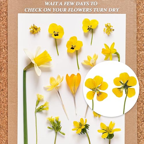 Miniatura 6 de Aboofx 20 hojas de papel secante para prensa de flores, papel secante grande A4 altamente absorbente y reutilizable para prensa de flores, papel de