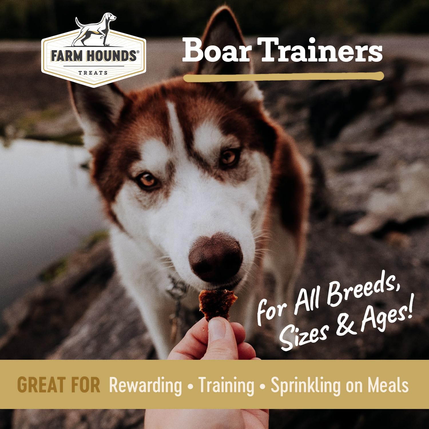 Farm Hounds - Boar Trainers - Premium Natural Jerky for Dogs - from 100% Humanely Raised Boar - Easy-Break - Great for Training & Treats - No Added Fillers - Made in USA - 4.5 oz - 1 Pack - image 2