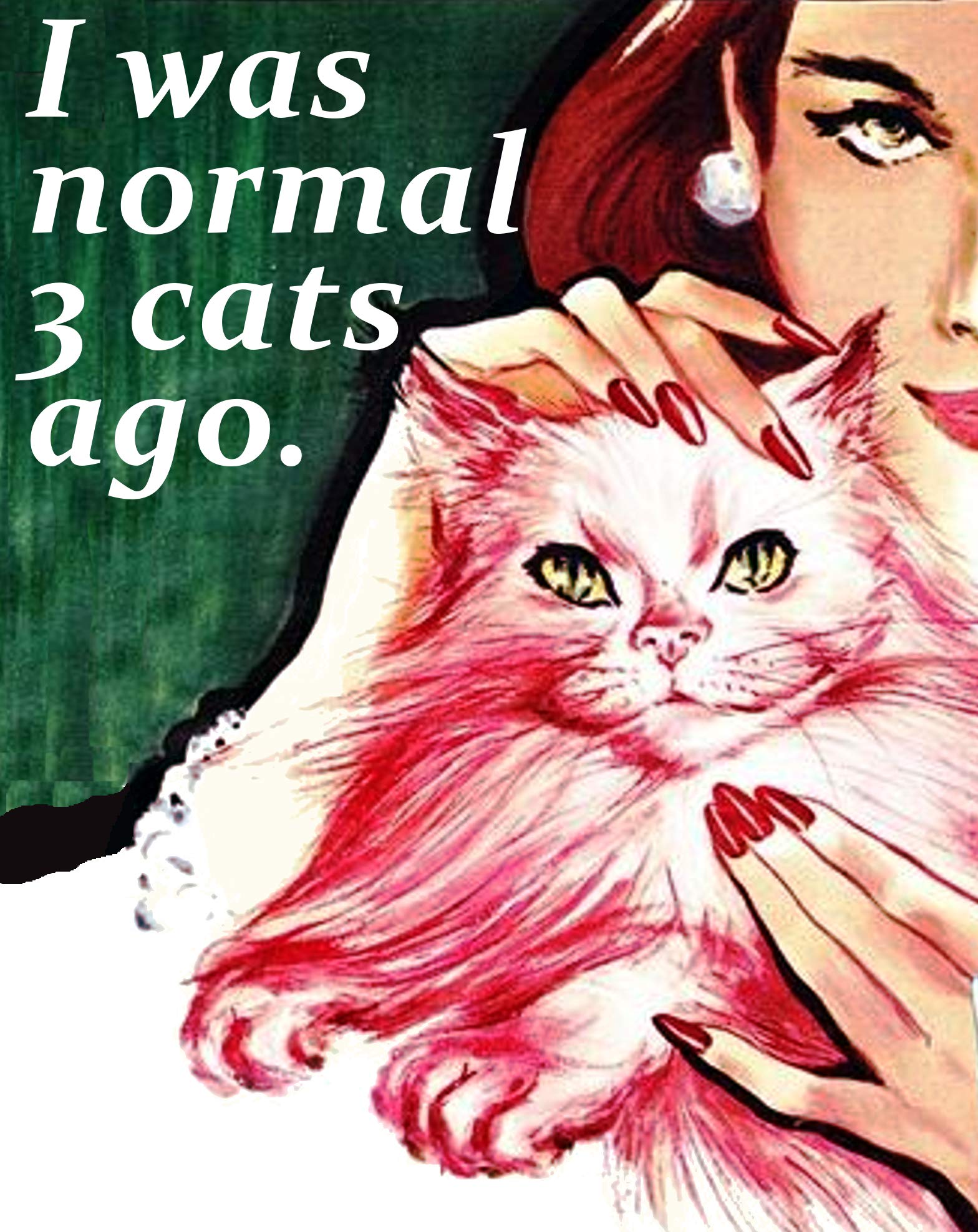 H.H I was Normal 3 Cats ago 2" x 3" Fridge Magnet Refrigerator Vintage Image Gift Retro Funny Humor Crazy cat Lady C