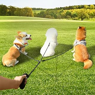 Three Dog Leash,Comfortable Triple Dog Leash with Reflective,360 Swivel No Tangle 3 Dog Training Leash,for Large Medium Small Dogs (Black, Three Leashes)